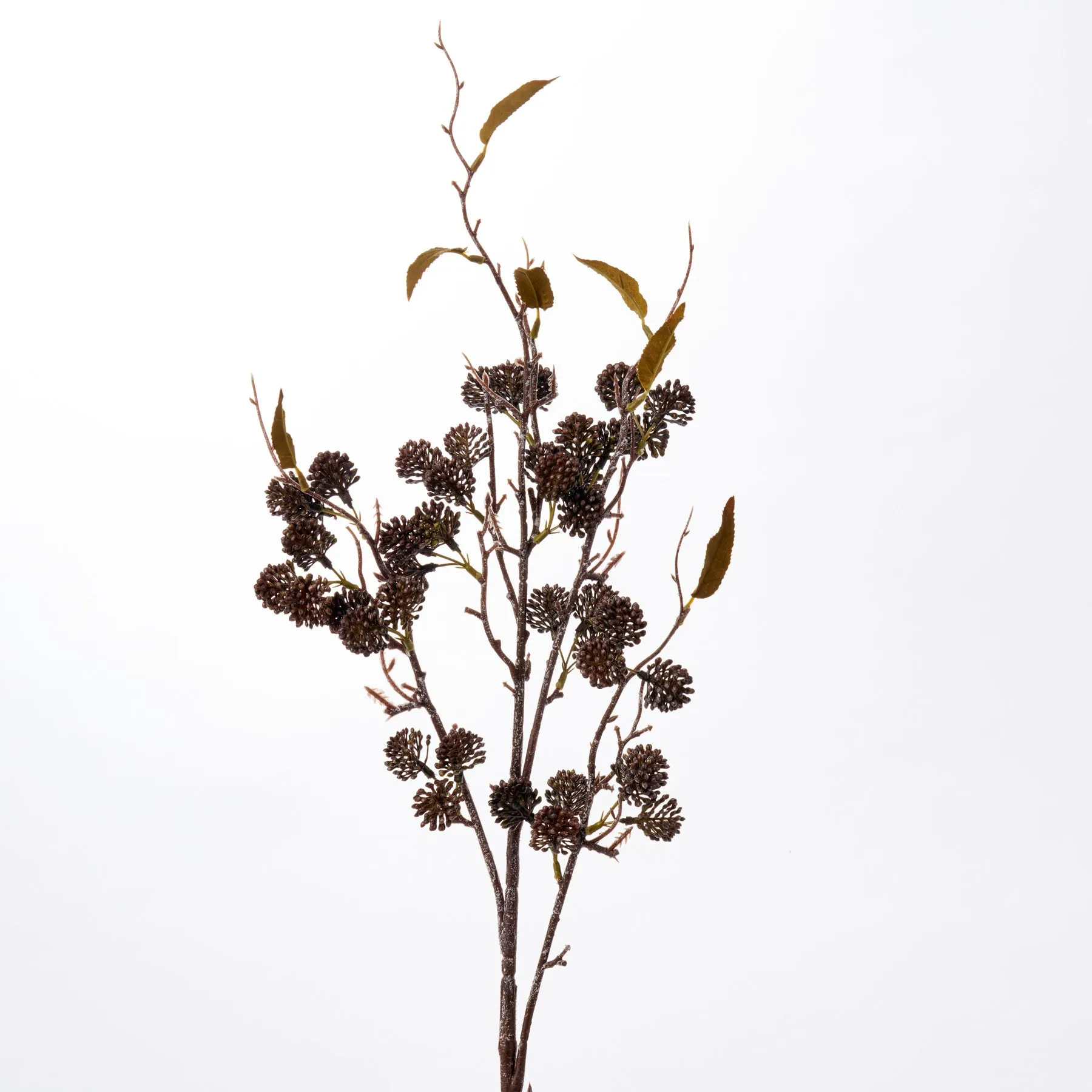 Black Pearl Fruit Twig & Branch Spray - 34"