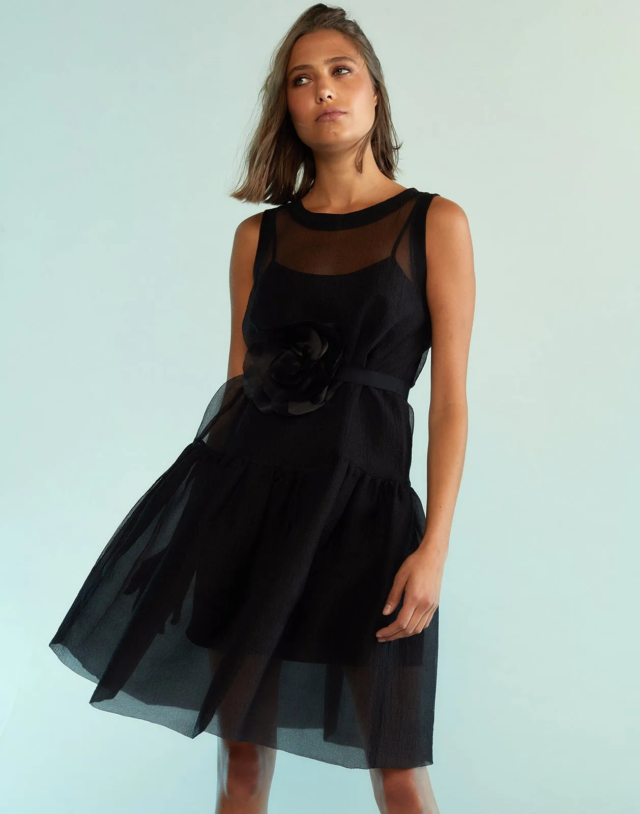 Chloe Organza Dress