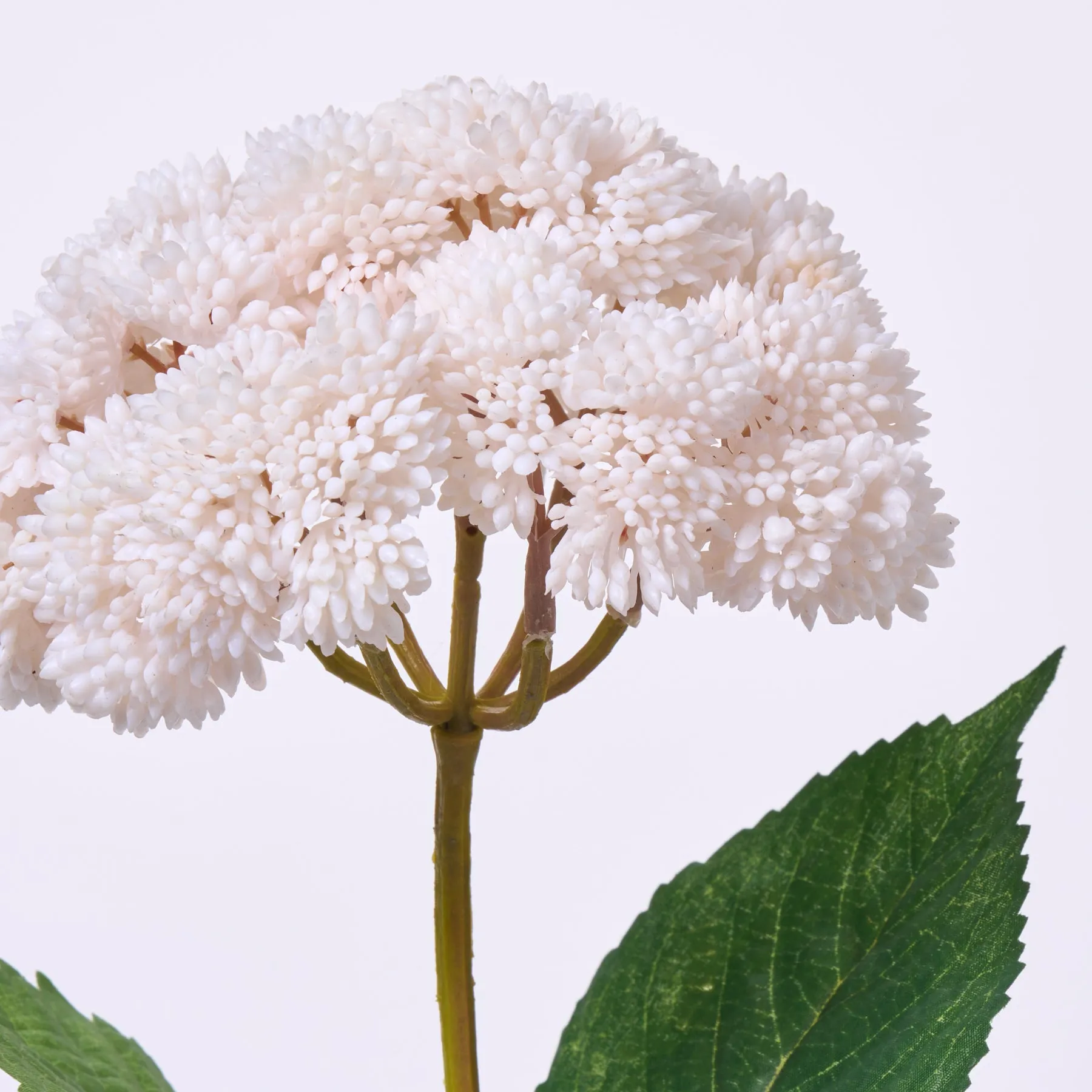 Cream Sedum Ball & Leaf Foliage Spray - 15"