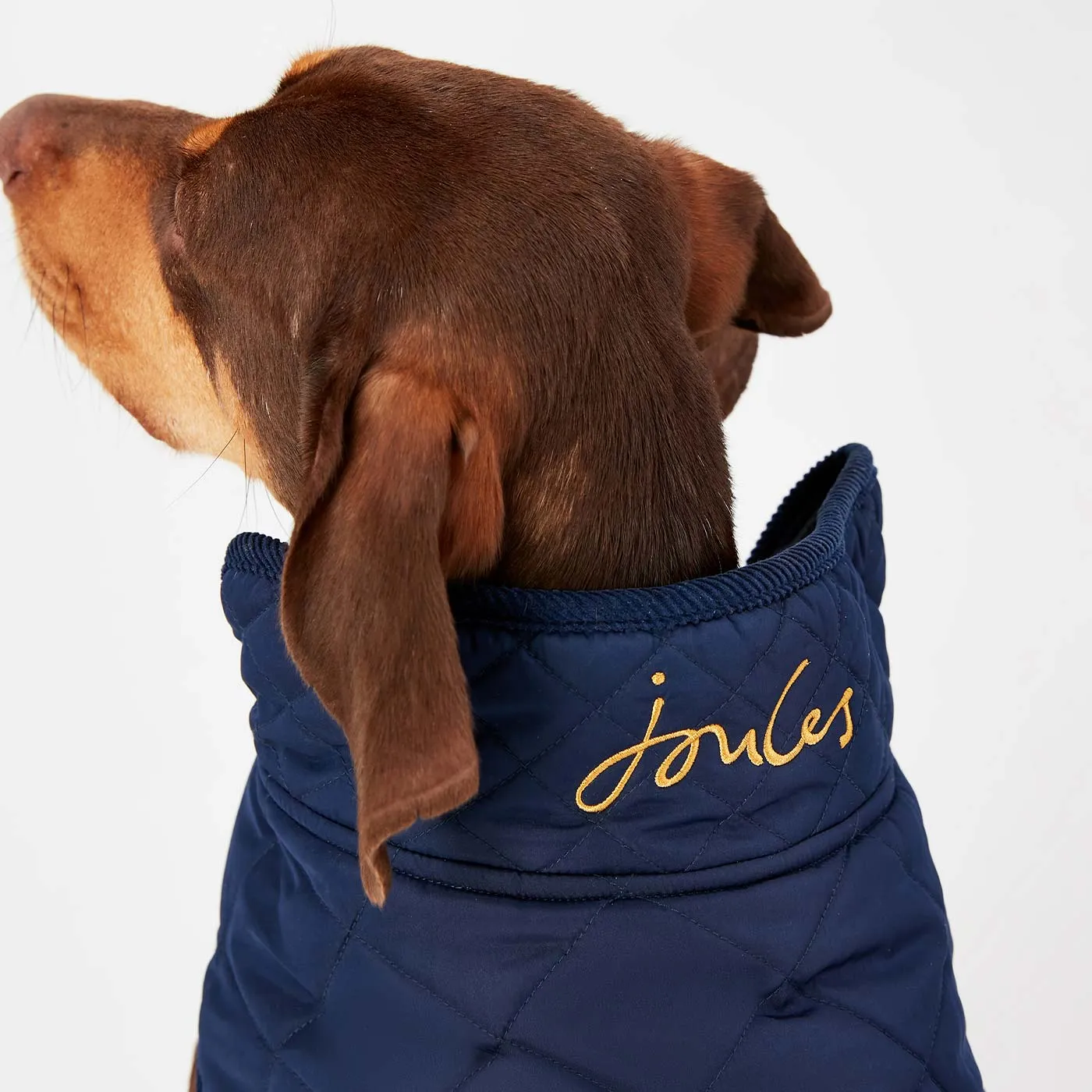 Joules Quilted Dog Coat