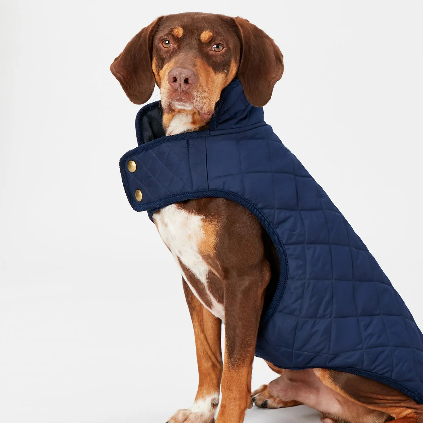 Joules Quilted Dog Coat