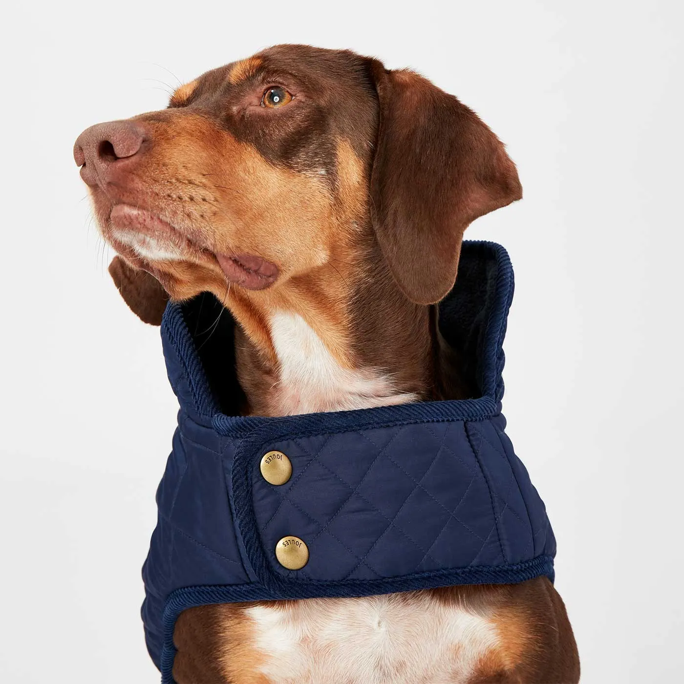 Joules Quilted Dog Coat