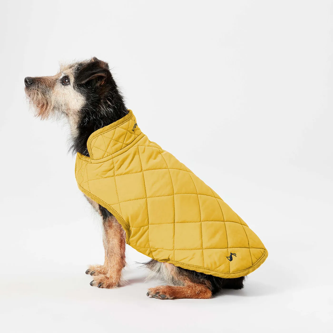 Joules Quilted Dog Coat