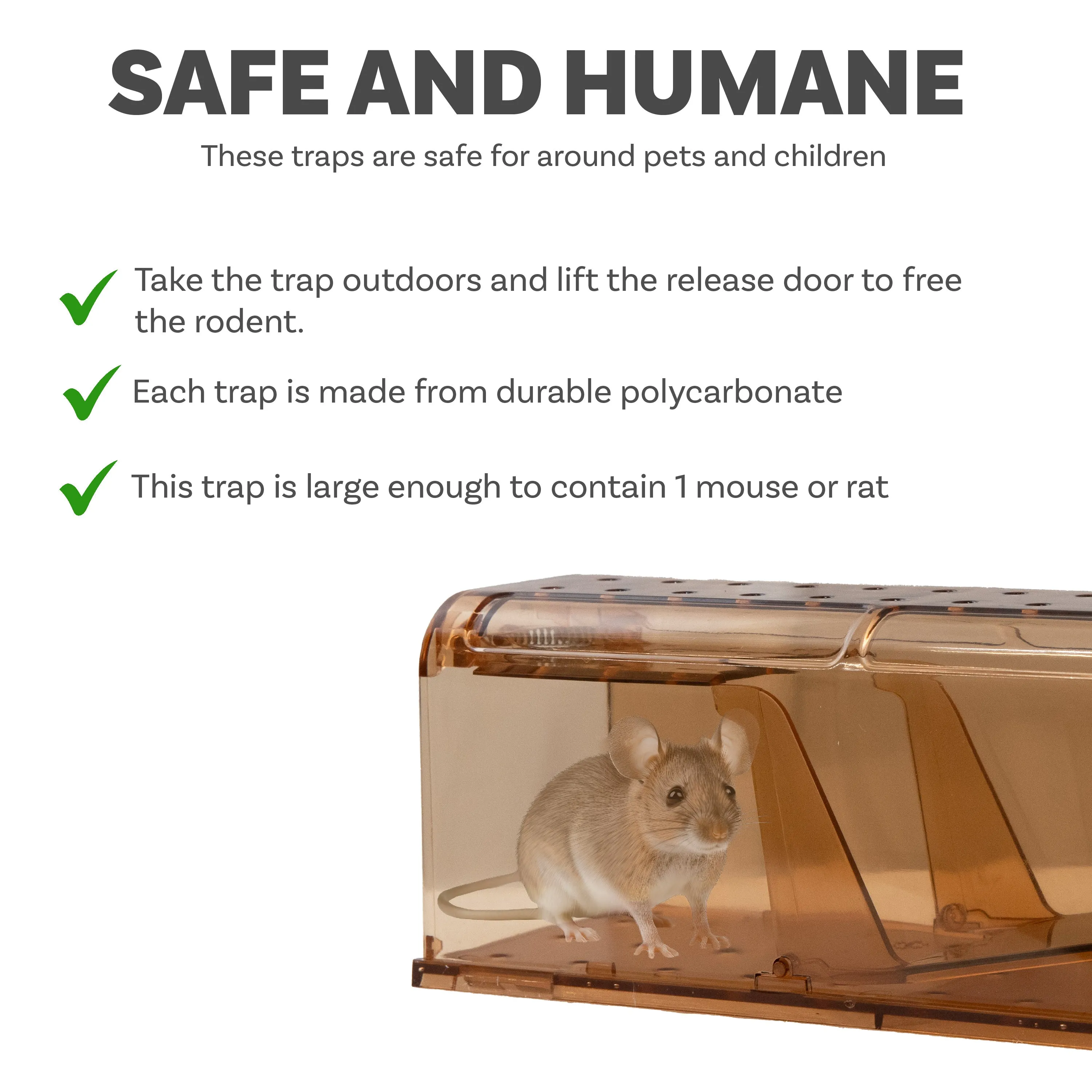 Sunnydaze Catch and Release Humane Mouse Trap - Indoor and Outdoor Use - 4-Pack